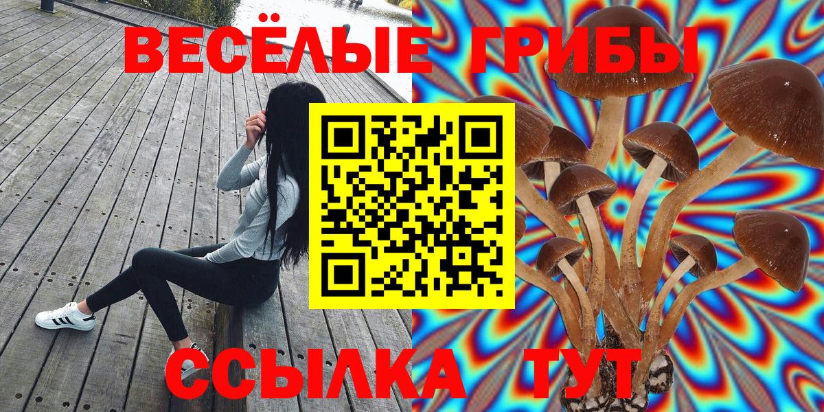 Псилоцибиновые грибы мухоморы  Вход с VPN  Ступино 